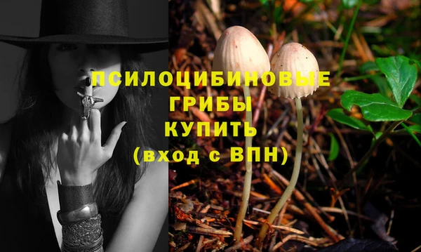 а пвп мука Баксан