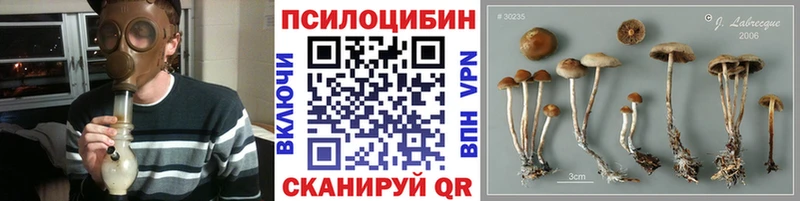 Галлюциногенные грибы Magic Shrooms  Иноземцево 
